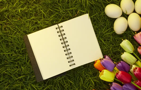 Grass, flowers, eggs, spring, colorful, Easter, tulips, wood