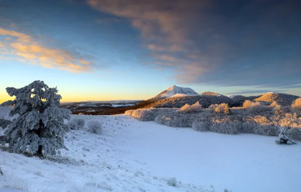 Winter, snow, morning