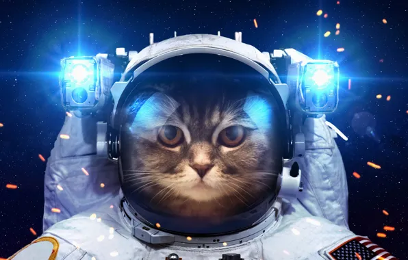 Cat, space, light, humor, astronaut, the suit, lanterns