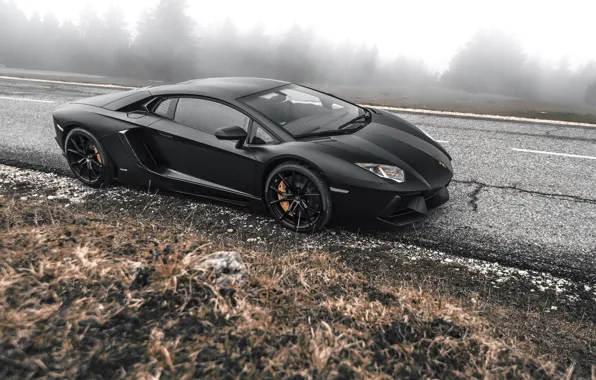 Lamborghini, Black, LP700-4, Aventador, Road, Supercar, Fog