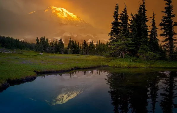 Forest, mountains, lake, reflection, glade, ate, Washington, Mount Rainier
