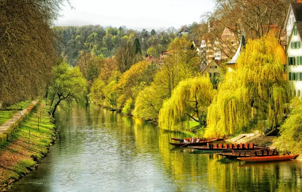 Picture autumn, water, trees, the city, river, home, boats, Germany