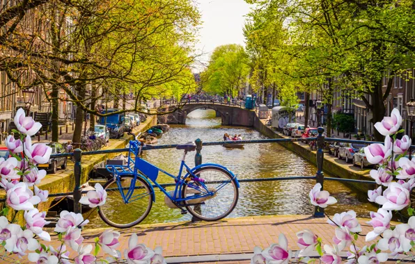 Picture bridge, bike, river, spring, Amsterdam, flowering, bridge, blossom