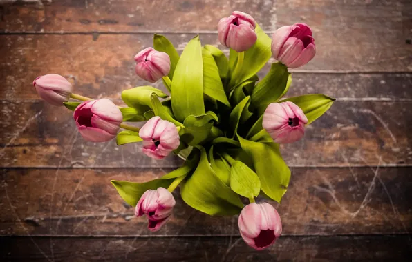 Picture bouquet, spring, tulips, wood