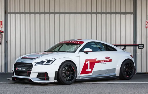 Audi, Sport