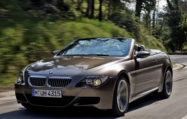 Picture road, tuning, speed, blur, BMW, BMW, convertible, dynamics