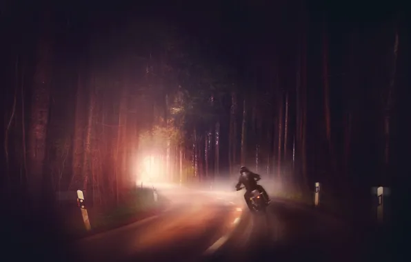 Road, forest, fog, motorcycle
