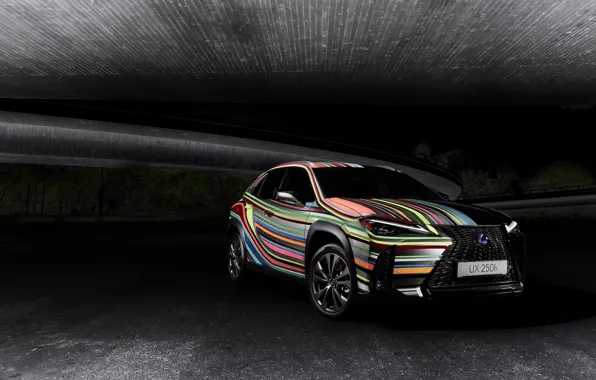 Lexus, crossover, 2019, F SPORT, By Rene Turrek, UX 250h