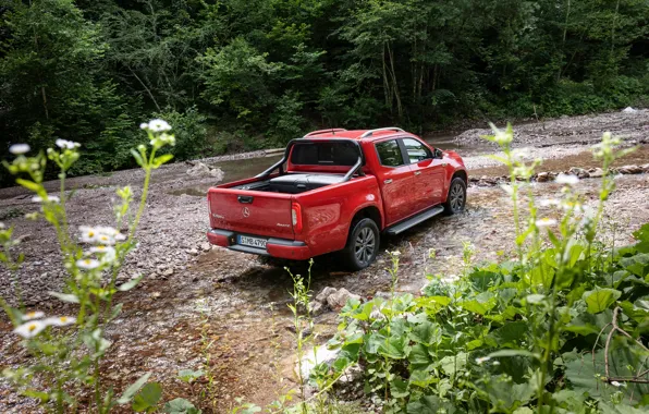 Picture red, Mercedes-Benz, pickup, 2018, X-Class, along the Creek