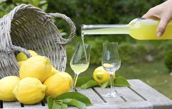 Basket, drink, lemons, liqueur