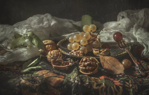 Leaves, light, table, grapes, plug, nuts, still life, tablecloth