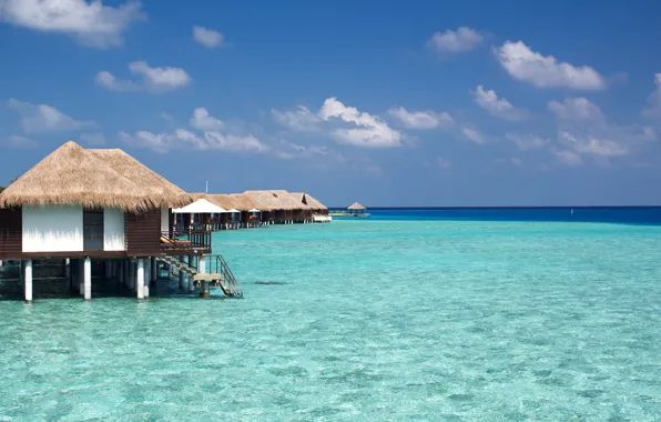 Tropics, the ocean, resort, Laguna, Bungalow