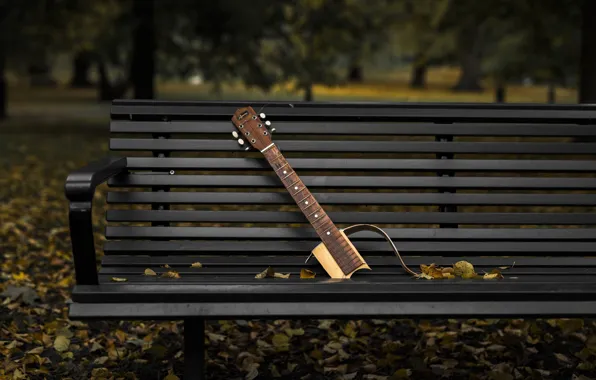 Picture autumn, Park, guitar, bench