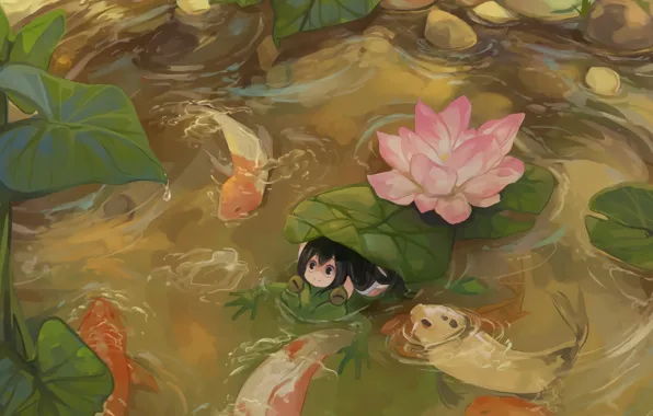 Frog, in the water, looking up, pink Lotus, Lotus leaf, koi, The Asui TSU, My …