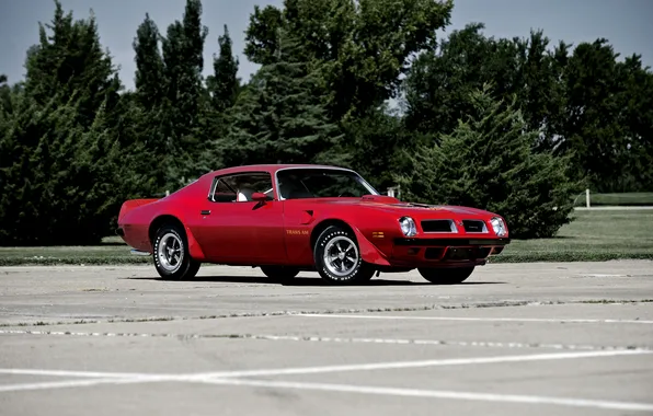 Picture Pontiac, Pontiac, Firebird, 1974, Firebird.