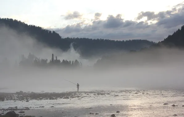 Picture fog, river, fishing
