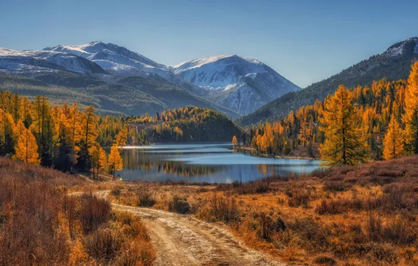 Picture road, autumn, trees, mountains, lake, Russia, The Republic Of Altai, The Altai mountains