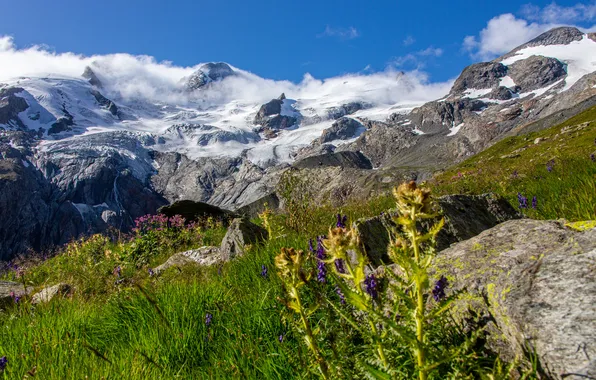 Nature, Mountains, Grass, Switzerland, Alps, Landscape
