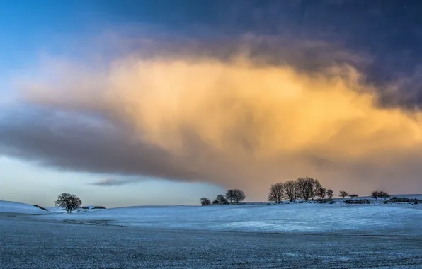 Field, the sky, morning