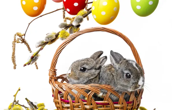 Flowers, branches, basket, spring, colorful, Easter, rabbits, Verba