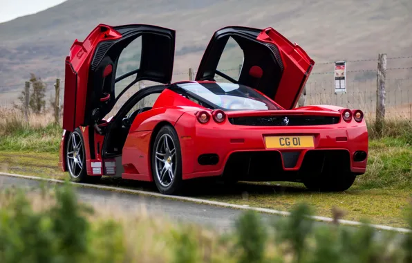 Picture Ferrari, Ferrari Enzo, Enzo, rear view, butterfly doors