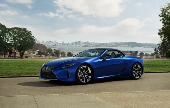 Grass, Lexus, convertible, the soft top, 2021, LC 500 Convertible