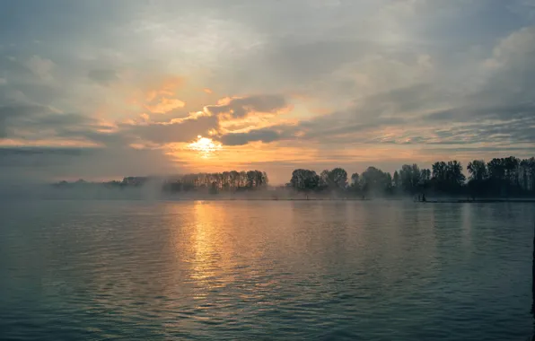 Picture clouds, trees, fog, river, shore, the evening