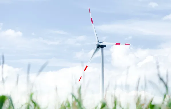 The sky, landscape, windmills