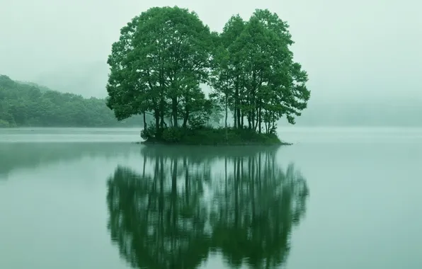 Reflection, island, Trees