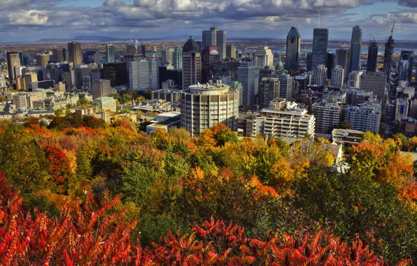 Autumn, clouds, landscape, home, Canada, Montreal, Sunny, the bushes