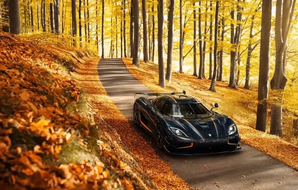 Picture autumn, background, Koenigsegg, supercar, the front, Agera, hypercar, Agera