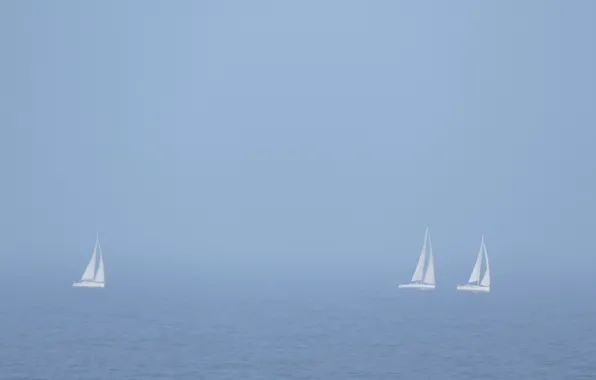 Picture sea, fog, sailboats