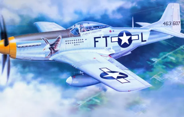 Figure, Mustang, art, North American, P-51D