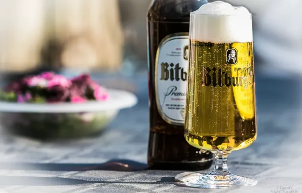 Wallpaper beauty, bottle, beer
