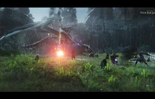 Dragon, the game, fire, game, rain, fight, the Inquisition, new