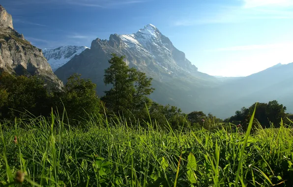 Forest, grass, the sun, trees, landscape, mountains, rocks, Alps