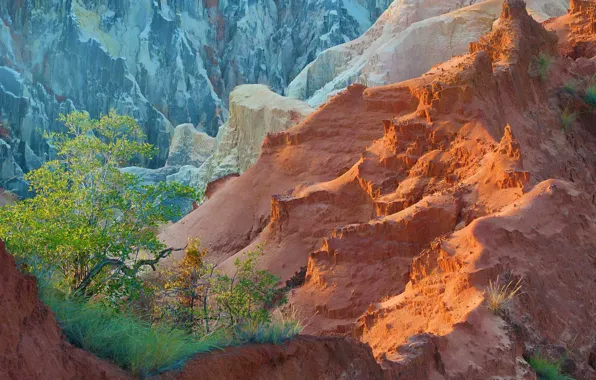 Autumn, trees, mountains, rocks, Madagascar, Ankarafantsika National Park, Ankarokaroka canyon