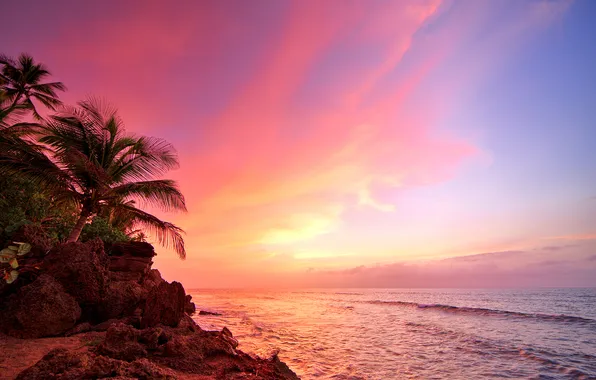 Picture beach, ocean, sunset, palm, Puerto Rico, Corner