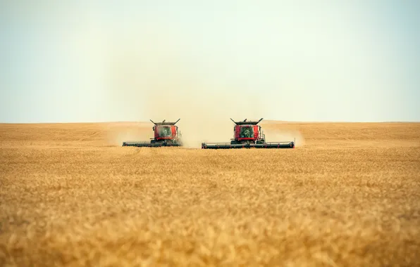 Workers, working, combines, a few harvesters, swath, cutting, a pair of combines, Harvesters