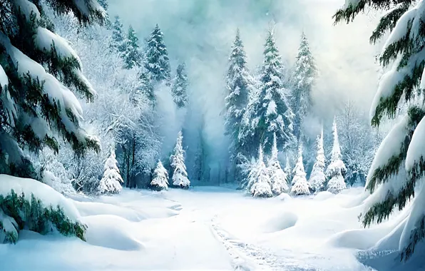 Winter, forest, snow, trees, landscape, nature, in the snow, winter
