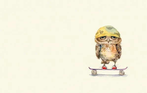 Mood, owl, art, bandana, skateboard, children's, sovushka, kid
