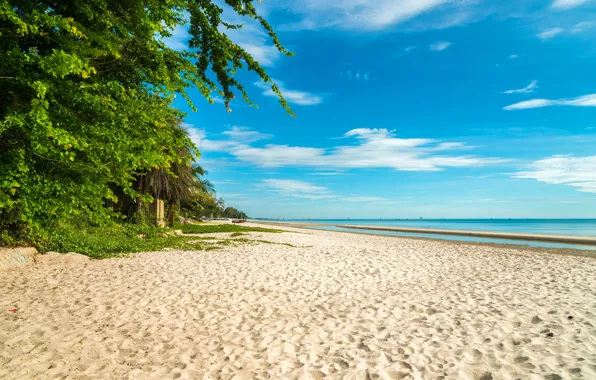 Sand, sea, the sky, clouds, trees, tropics, shore