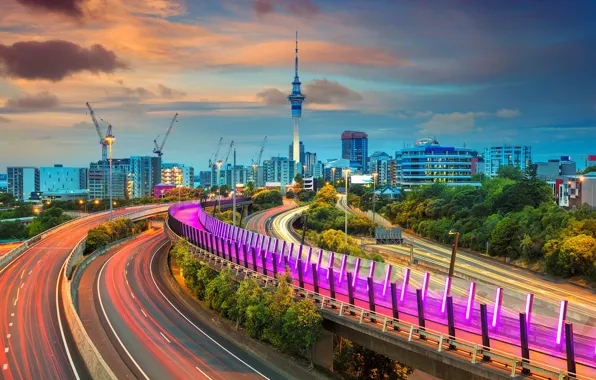 Lights, tower, home, New Zealand, Auckland