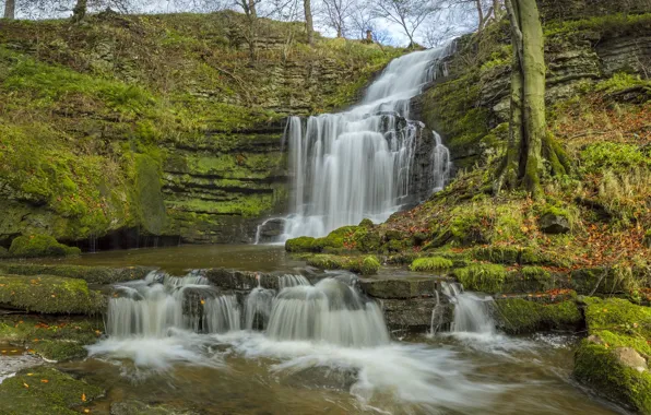 Picture autumn, England, waterfall, cascade, England, North Yorkshire, Yorkshire Dales, North Yorkshire
