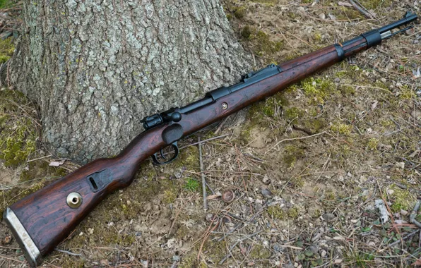 Picture rifle, 1939, Sauer K98