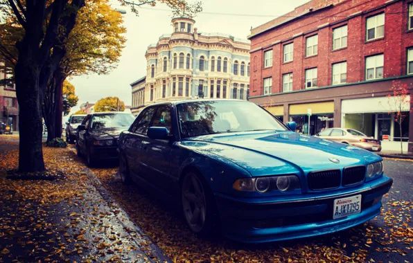 Picture autumn, leaves, street, bmw, BMW, side, e38, 750il