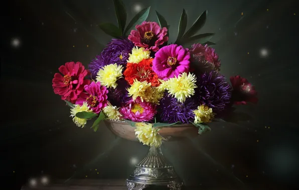 Composition, asters, zinnia