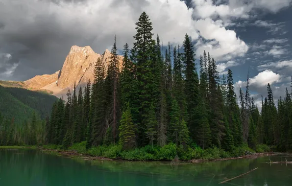 Picture forest, landscape, mountains, lake, ate