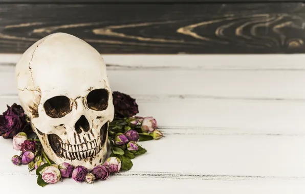 Flowers, skull, Halloween, sake
