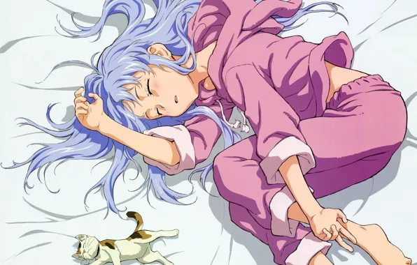 Sleep, girl, pajamas, kitty, To Aru Majutsu no Index, blue hair, on the bed, Index …
